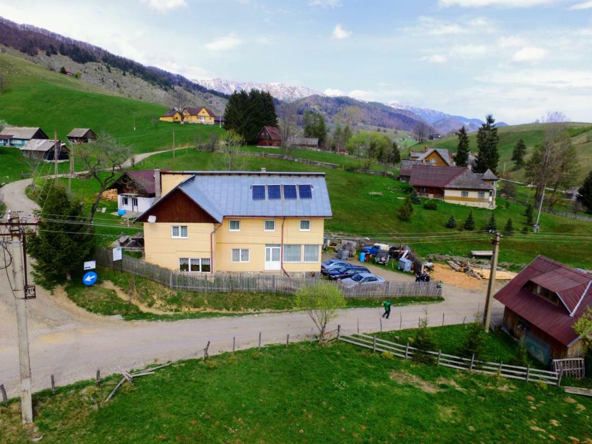 Şirnea Casa Marioaraヴィラ エクステリア 写真